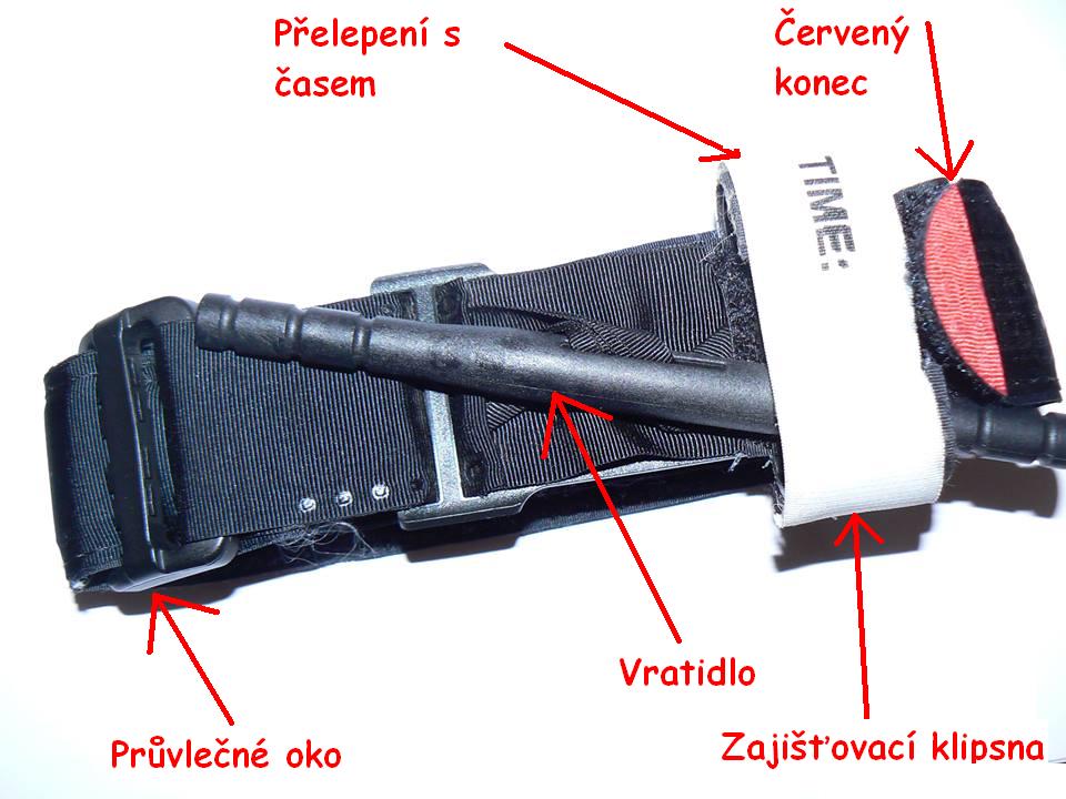 cat složen.jpg